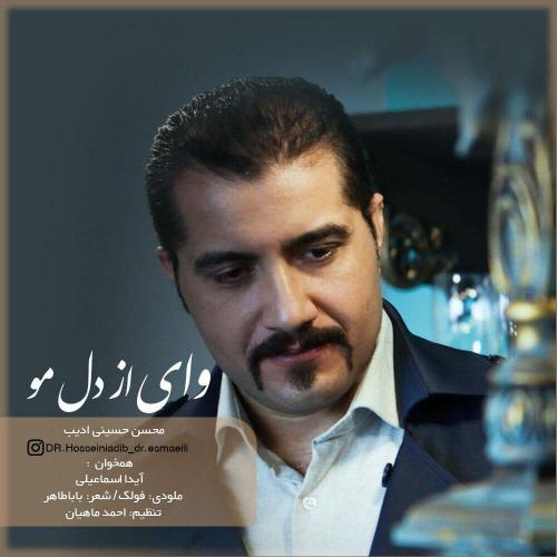 محسن حسینی ادیب وای از دل مو